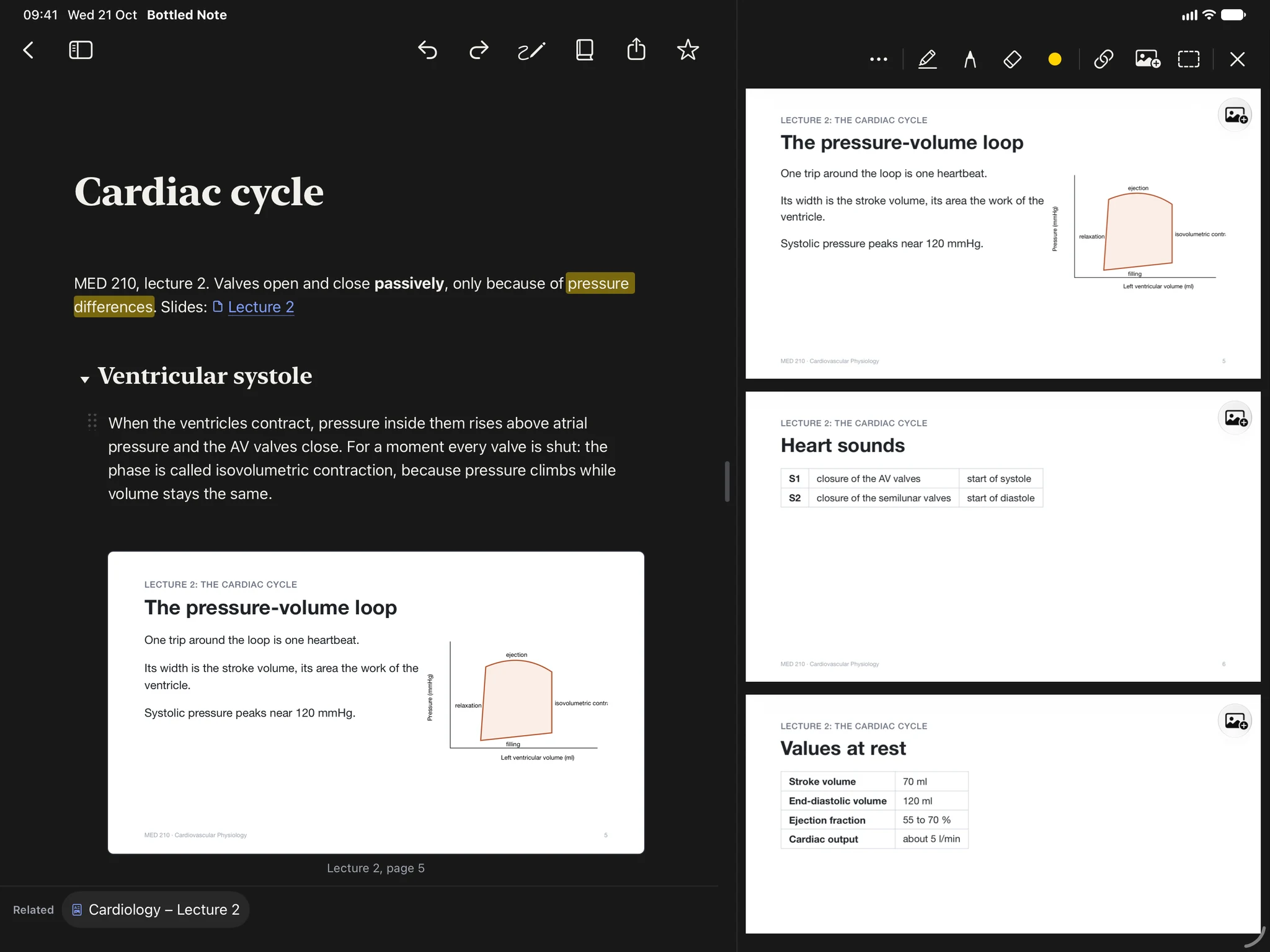 A medicine note on iPad on the cardiac cycle, with the lecture slides open beside it