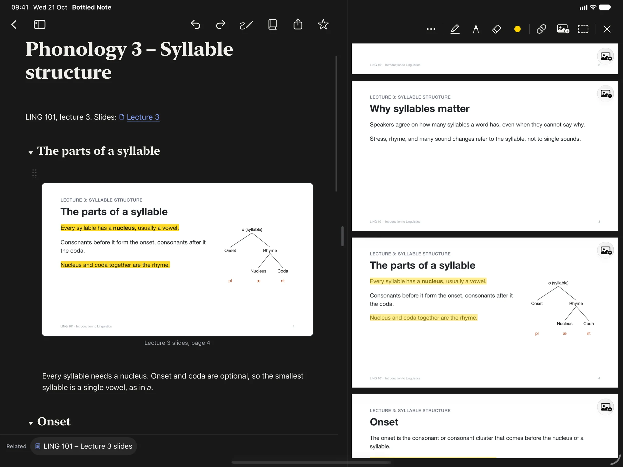 A linguistics note on iPad on syllable structure, with the lecture slides open beside it
